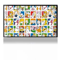 Folien für Spielekonsolen matt