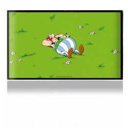 Folien für Spielekonsolen matt