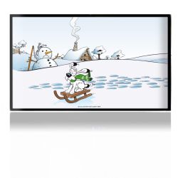 Folien für Spielekonsolen matt