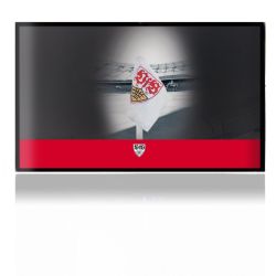 Folien für Spielekonsolen matt