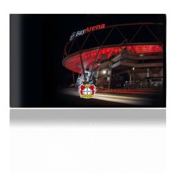 Folien für Spielekonsolen matt