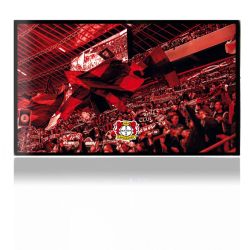 Folien für Spielekonsolen matt