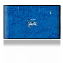 Folien für Spielekonsolen matt