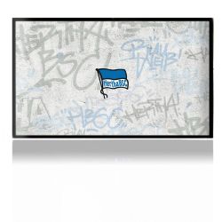 Folien für Spielekonsolen matt