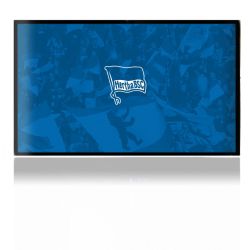 Folien für Spielekonsolen matt