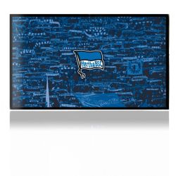 Folien für Spielekonsolen matt