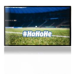 Folien für Spielekonsolen matt