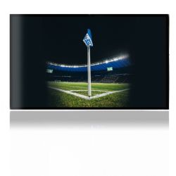 Folien für Spielekonsolen matt