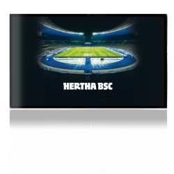 Folien für Spielekonsolen matt