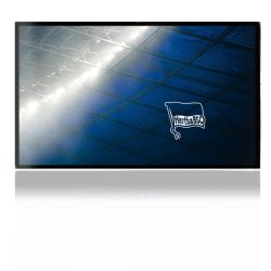 Folien für Spielekonsolen matt