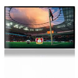 Folien für Spielekonsolen matt