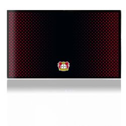 Folien für Spielekonsolen matt