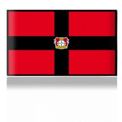 Folien für Spielekonsolen matt