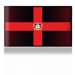 Folien für Spielekonsolen matt