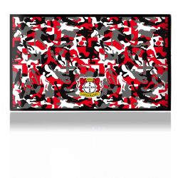 Folien für Spielekonsolen matt