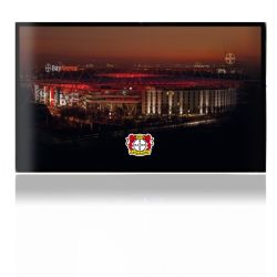 Folien für Spielekonsolen matt