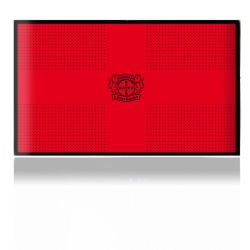 Folien für Spielekonsolen matt