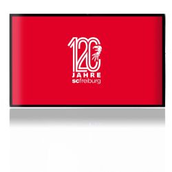 Folien für Spielekonsolen matt