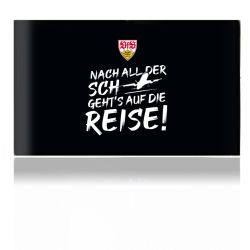 Folien für Spielekonsolen matt