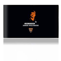 Folien für Spielekonsolen matt