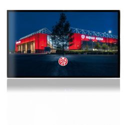 Folien für Spielekonsolen matt