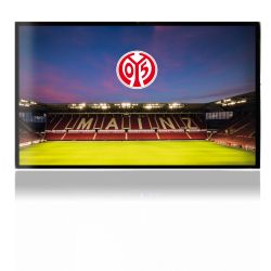 Folien für Spielekonsolen matt