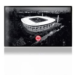 Folien für Spielekonsolen matt