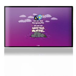 Folien für Spielekonsolen matt