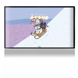 Folien für Spielekonsolen matt