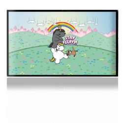 Folien für Spielekonsolen matt