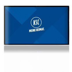 Folien für Spielekonsolen matt