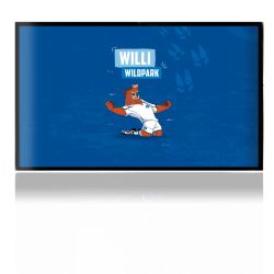 Folien für Spielekonsolen matt