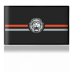 Folien für Spielekonsolen matt