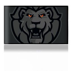 Folien für Spielekonsolen matt