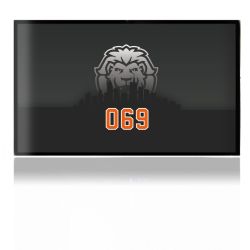 Folien für Spielekonsolen matt