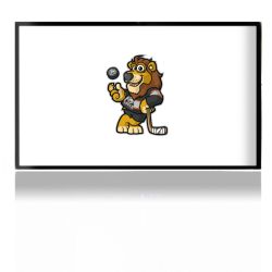 Folien für Spielekonsolen matt