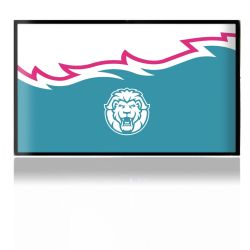 Folien für Spielekonsolen matt