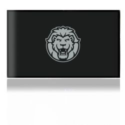 Folien für Spielekonsolen matt