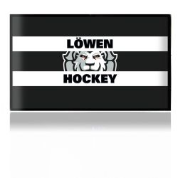 Folien für Spielekonsolen matt