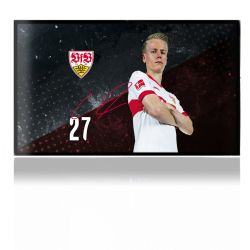 Folien für Spielekonsolen matt