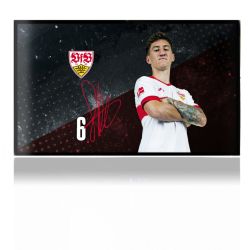 Folien für Spielekonsolen matt