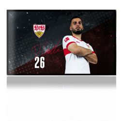 Folien für Spielekonsolen matt