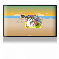 Folien für Spielekonsolen matt