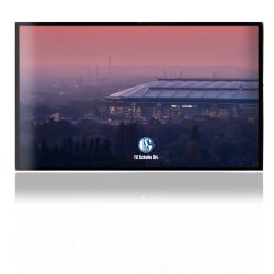 Folien für Spielekonsolen matt