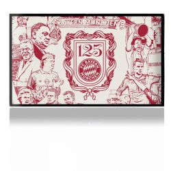 Foils for Consoles matt