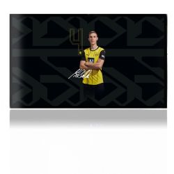 Foils for Consoles matt