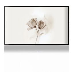 Foils for Consoles matt