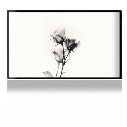 Foils for Consoles matt