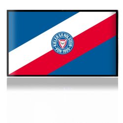 Folien für Spielekonsolen matt