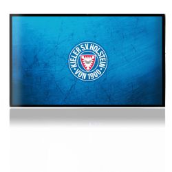 Folien für Spielekonsolen matt